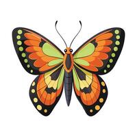 Delias Hyparete Artistic Design vector