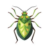 Dolycoris Baccarum Unique Artwork vector