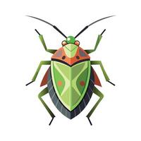 Dolycoris Baccarum Stunning Representation vector