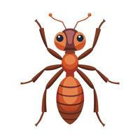 Eciton Burchellii Engaging Design vector