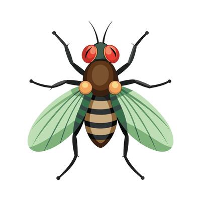Empis Livida Unique Art