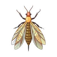 Ephemera Vulgata Stunning Representation vector