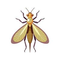 Ephemera Vulgata Unique Art vector