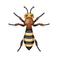 Eristalinus Taeniops Engaging Design vector