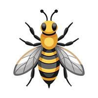 Eristalis Tenax Artistic Design vector
