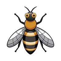 Eristalis Tenax Stunning Representation vector