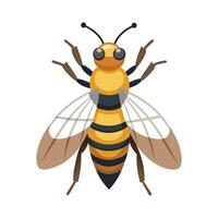 Eristalis Tenax Unique Art vector