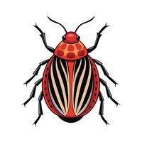 Graphosoma Italicum Unique Art vector