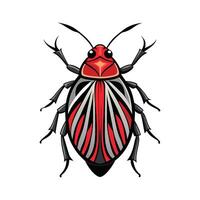 Graphosoma Italicum Stunning Representation vector
