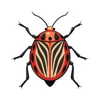 Graphosoma Lineatum Engaging Design vector