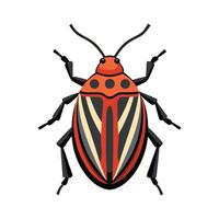 Graphosoma Lineatum Stunning Representation vector