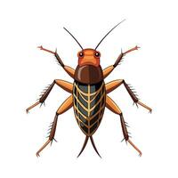 Gryllus Campestris Stunning Representation vector