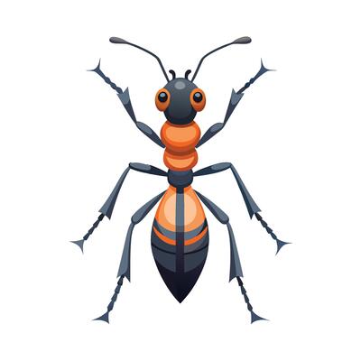 Harpegnathos Venator Artistic Design