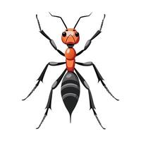 Harpegnathos Venator Stunning Representation vector