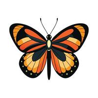 Heliconius Charithonia Stunning Representation vector