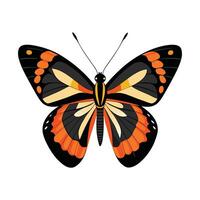 Heliconius Charithonia Engaging Design vector