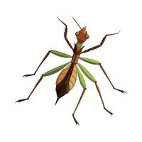 Heteropteryx Dilatata Engaging Design vector