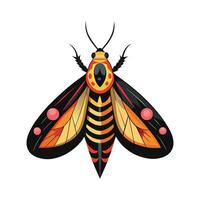 Hyles Euphorbiae Stunning Representation vector