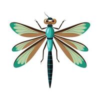 Ischnura Elegans Engaging Design vector