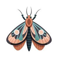 Lasiocampa Quercus Engaging Design vector