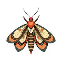 Lasiocampa Quercus Unique Art vector