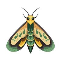 Lasiocampa Quercus Artistic Design vector