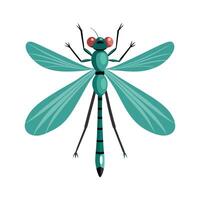 Lestes Viridis Engaging Design vector