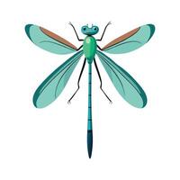 Lestes Viridis Artistic Design vector