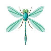 Lestes Viridis Stunning Representation vector