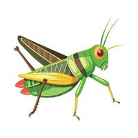 Locusta Migratoria Unique Art vector