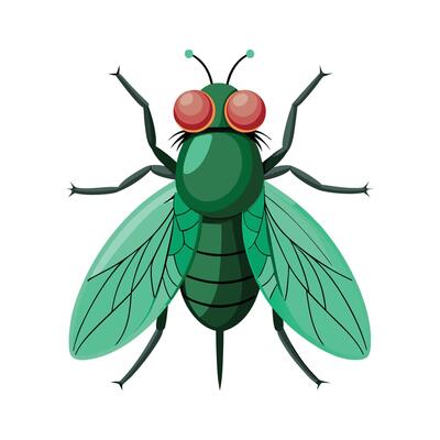 Lucilia Sericata Unique Art