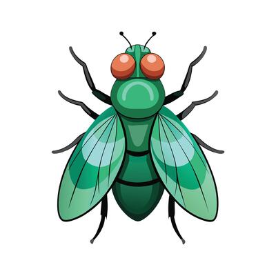 Lucilia Sericata Engaging Design