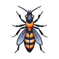 Lygaeus Equestris Unique Art vector