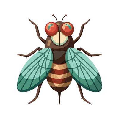 Lucilia Sericata Stunning Representation