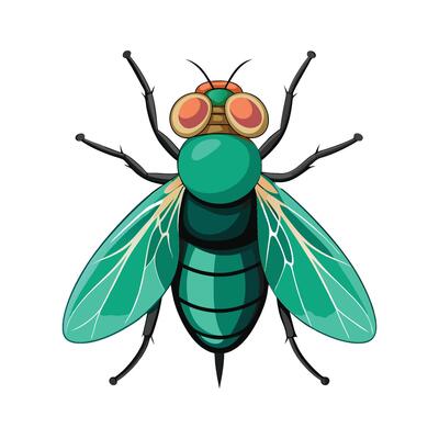 Lucilia Sericata Artistic Design
