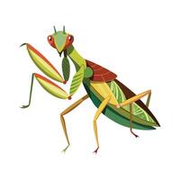 Macromantis Hyalina Artistic Design vector
