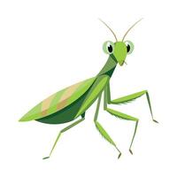 Mantis Religiosa Artistic Design vector