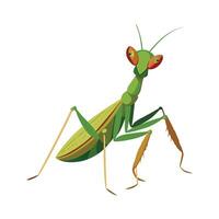 Mantis Religiosa Unique Art vector