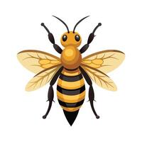 Megachile Pluto Engaging Design vector
