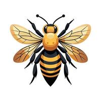 Megachile Rotundata Stunning Representation vector