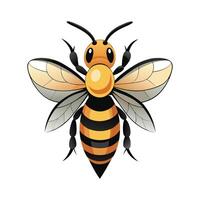 Megachile Rotundata Unique Art vector