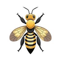 Megachile Rotundata Artistic Design vector