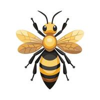 Melipona Beecheii Engaging Design vector
