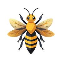 Melipona Beecheii Artistic Design vector