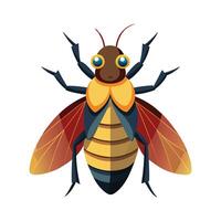 Meloe Proscarabaeus Artistic Design vector
