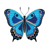 Morpho Peleides Artistic Design vector