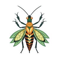 Oecanthus Pellucens Engaging Design vector