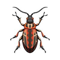 Osmoderma Eremita Artistic Design vector