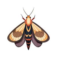 Palomena Prasina Artistic Design vector