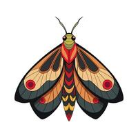Palomena Prasina Stunning Representation vector